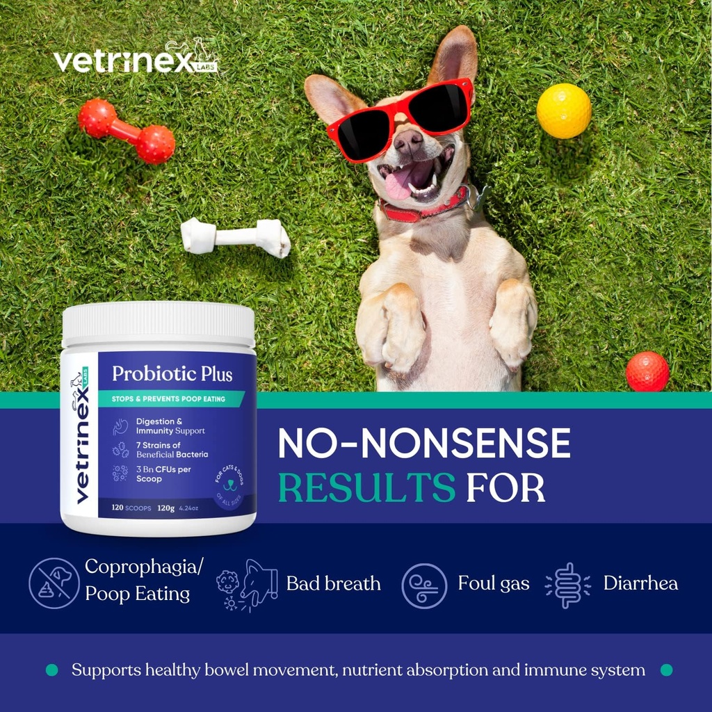 Coprophagia Poop Yeme Deterrent & Önleme, Stool Yeme Tedavisini Durdurun - Köpekler için Probiyotikler, Kediler ve Puppiler - Forbids Dog from Eating Poop - Probiyotik Toz (120 GMS)