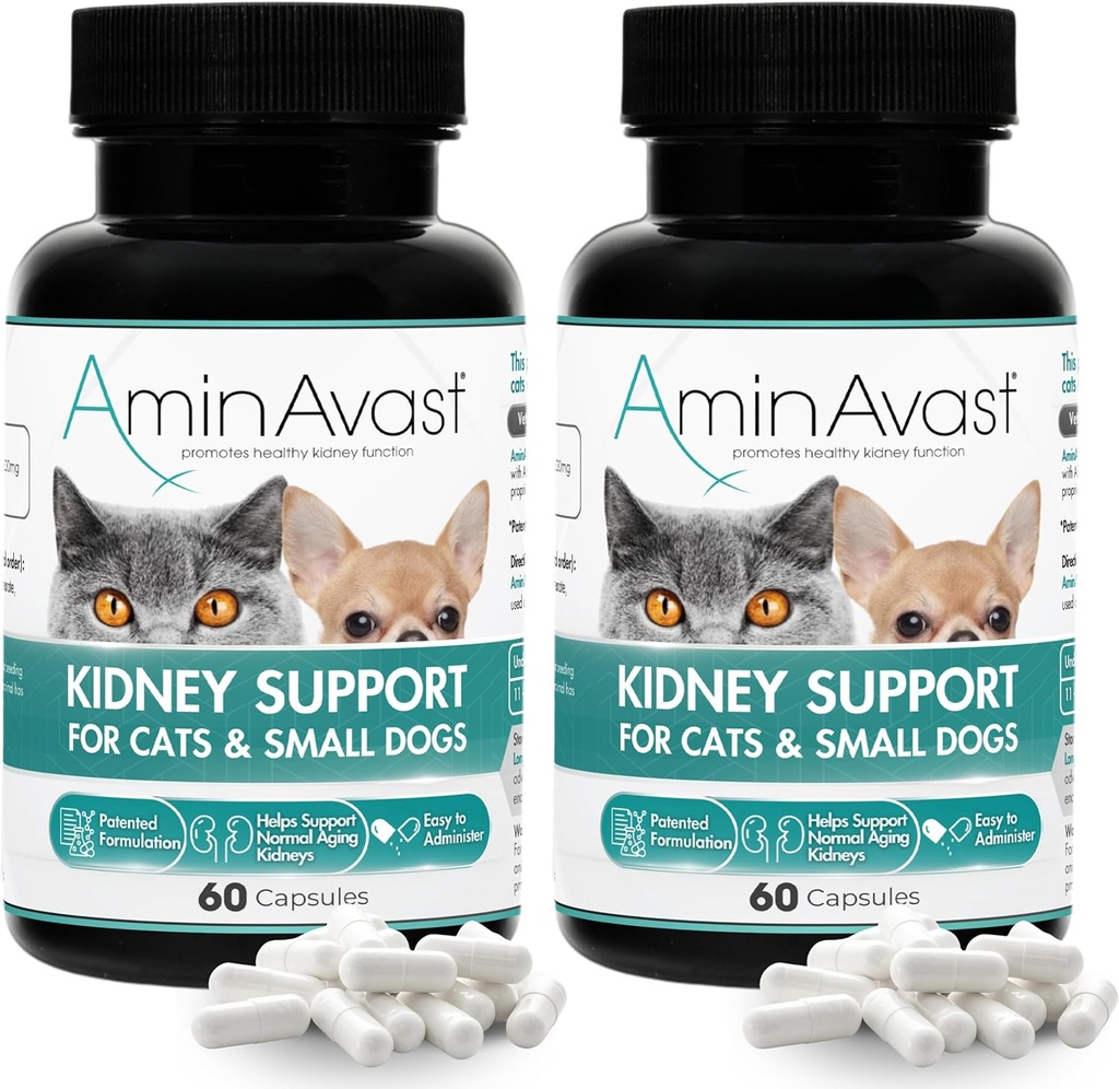 AminAvast Kidney, Cats ve Small Dogs için Supplement, 300 mg 2Pack - Doğal Kidney Fonksiyonlar - Aging Kidneys'deki Yardımlar - kolayca Administered - 60 Sprinkle Capsules
