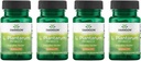 Swanson L. Plantarum - Gastrointestinal Denge ve Bowel Düzenliliği Artırmak için Doğal Formula - (30 Veggie Capsules) 4 Pack