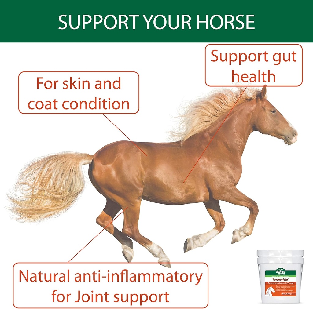 Tozlu Tavşan Yağı ile Atlar için Doğal Turmeric Toz - Sağlıklı Hip & Ortak Fonksiyonl için Turmericle Anti-Inflamatory Horse Supplement - Normal Skin Health