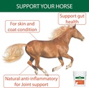 Tozlu Tavşan Yağı ile Atlar için Doğal Turmeric Toz - Sağlıklı Hip & Ortak Fonksiyonl için Turmericle Anti-Inflamatory Horse Supplement - Normal Skin Health