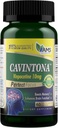 America Medic & Science Cavintona 10mg – Συμπλήρωμα Εγκεφαλικής Υγείας για Μνήμη, Εστίαση & Γνωστική Υποστήριξη – Ενισχύει τη Διανοητική Καθαρότητα, τη Ροή Αίματος & τη Νευροπάθεια – 60 Κάψουλες