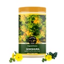 TEACURRY Gokshura (125 Gram Paketi) - Enerji ve Yaşam Geliştirme, Destekler Kidney Wellness Genel Olarak İyi Olmak - Chota Gokhru