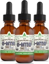 RawGuru Mefolate 1 mg+ Vitamin B12 - Organik Vegan Meydu Mineralleri ile B12 - Nano-Processed & Geliştirilmiş Sıvı Formula - 300 30 ml'da Vegan Drops'a hizmet ediyor