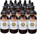 Guarana Liquid Extract, Guarana (Paullinia Cupanais) Tincture Supplement 15x4 ozz