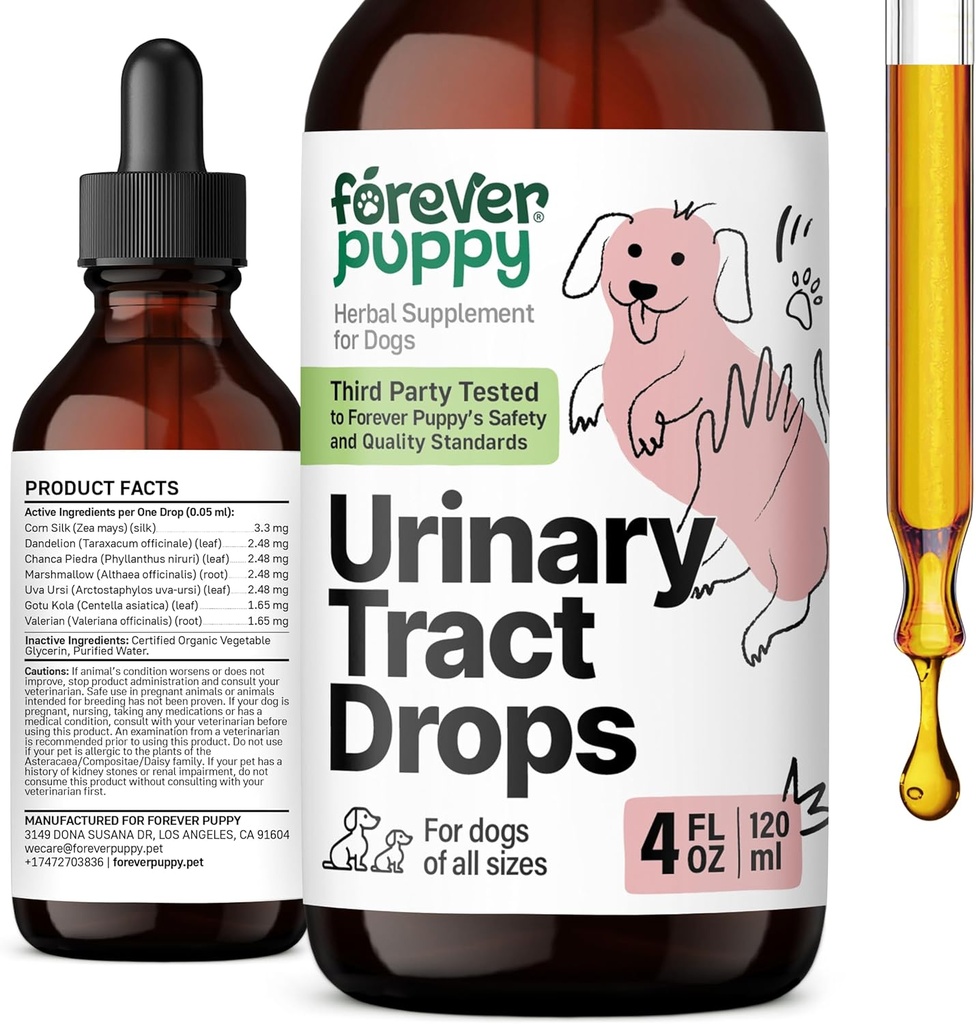 Forever Puppy Urinary Tract Drops for Dogs - Υποστήριξη της ουροδόχου κύστης w/Corn Silk & Chanca Piedra Stone Breaker - Συμπληρώματα διατροφής για τα νεφρά Υποστήριξη - ούρα Φυλλαδικές βιταμίνες και συμπληρώματα - 4 oz