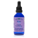 Eidon Ionic Minerals Sıvı çinko Yoğunluğu - Ionic çinko Supplement Drops for Yetişkinler and Kids, Support Immune System, Hair and Skin, Liver and Kidney Health, Relieves Stres - 2 ozzz