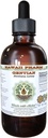 Gentian Alkol Özgür Sıvı, Organik Gentian (Gentiana Lutea) kuru Kök Glycerite Hawaii Pharm Natural Herbal Supplement 2 oz