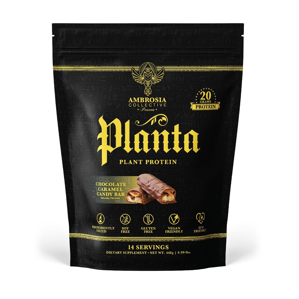 Ambrosia Planta - Premium Plant-Based Protein | Vegan & Keto Friendly | Gurating or Stomach Upset | Gluten & Soy Free | Nodrew Sugar | 14 Servisler | (Candy Bar)