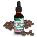 Απάντηση της φύσης Saw Palmetto Berry Extract συμπλήρωμα βοτάνων με οργανικό αλκοόλ, 1-Fluid ουγγιά 