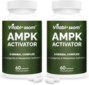 AMPK Activator Tamam, 1 Jiaogulan Gynostemma AMPK Metabolic Activator 120 Vegetarian Capsules (120 Kont(Pack of 2))