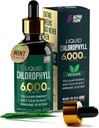Χλωροφύλλη Υγρές σταγόνες 6000 mg - Premium Υγρή Χλωροφύλλη Συμπλήρωμα - Όλα-σε-ένα Αντιοξειδωτικό για ανοσοενισχυτικό, αύξηση της ενέργειας, υποστήριξη πήξεως & γρήγορη αποτοξίνωση - Μη-ΓΤΟ, Vegan