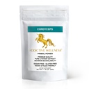 Addictive Wellness Cordyceps CS-4 Extract Toz - Pure & Potent for Energy and Endurance, 1 Packet
