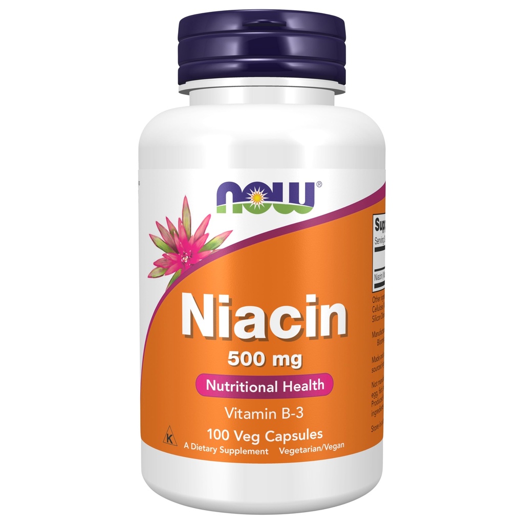 Şimdi Gıdalar Tamamlıyor, Niacin (Vitamin B-3) 500 mg, Essential B-grup Vitamini*, Beslenme Sağlığı, 100 Capsules