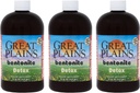 Yerba Prima Great Plains Bentonite Clay - 16 oz (Pack of 3) - Φυσικό συμπλήρωμα καθαρισμού εσωτερικού υγρού άργιλου