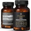 Enfinity Paraxanthine Capsules, Clean Energy & Focus, Caffeine Alternative | 200 mg per Capsule | USA, GMP sertifikalı, Non-GMO, Kosher
