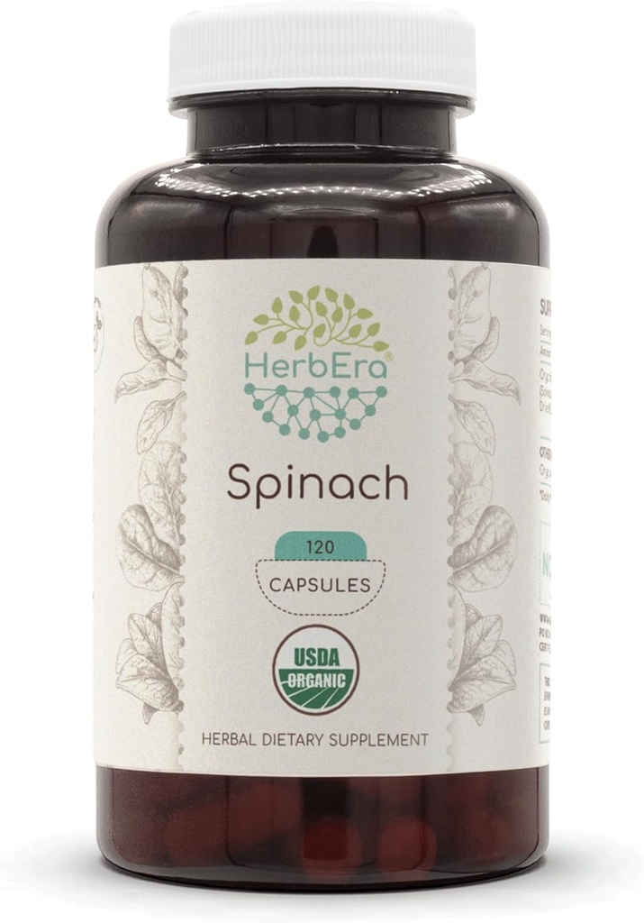 HerbEra Spinach 120 Capsules, 500 mg, USDA Organic Spinach (Spinacia oleracea) Dried Leaf (120 Capsules)