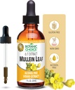 Botanic Choice Mullein Leaf Liquid Extract, Χωρίς αλκοόλη, Χωρίς γλουτένη, Παραδοσιακή αναπνευστική υποστήριξη 1 Fl. Oz.