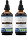 Tribe Hydrangea Tincture Alkol-Free Liquid Ekstraksiyonun Sırları, Hydrangea (Hydrangea arborescens) 2 Rootx4 FL OZ)