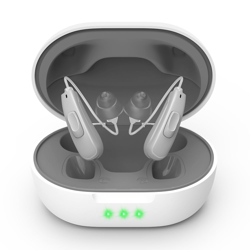 Gerçek işitme Aids (Not Amplifier) 11 Channals Profesyonel Isıtmalı Su işitme Yardımları Yaşlılar için Gürültülü işitme Yardımı Manyetik Şarj Kutusu (Grey)