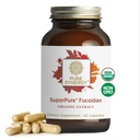PURE SYNERGY SuperPure Fucoidan Extract | Gluten-Free Fucoidan from Organic Brown Seaweed | for Immune Health, Digestion, and Health Aging (60 Capsules)