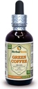 Πράσινος καφές (Coffea Arabica) Βάμμα, Βιολογικά Αποξηραμένα Φασόλια Υγρό Εκχύλισμα (Όνομα: HerbalTerra, Περήφανα Made in USA) 2 fl.oz (60 ml)