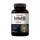 NatureBell HMB 3.000 mg ανά υπηρεσία 300 κάψουλες, 3X τριπλή δύναμη HMB Βήτα-Υδροξυ Βήτα-Μεθυλοβουτυρικό συμπλήρωμα – Lean μυϊκή μάζα & υποστήριξη αποκατάστασης – Μη ΓΤΟ