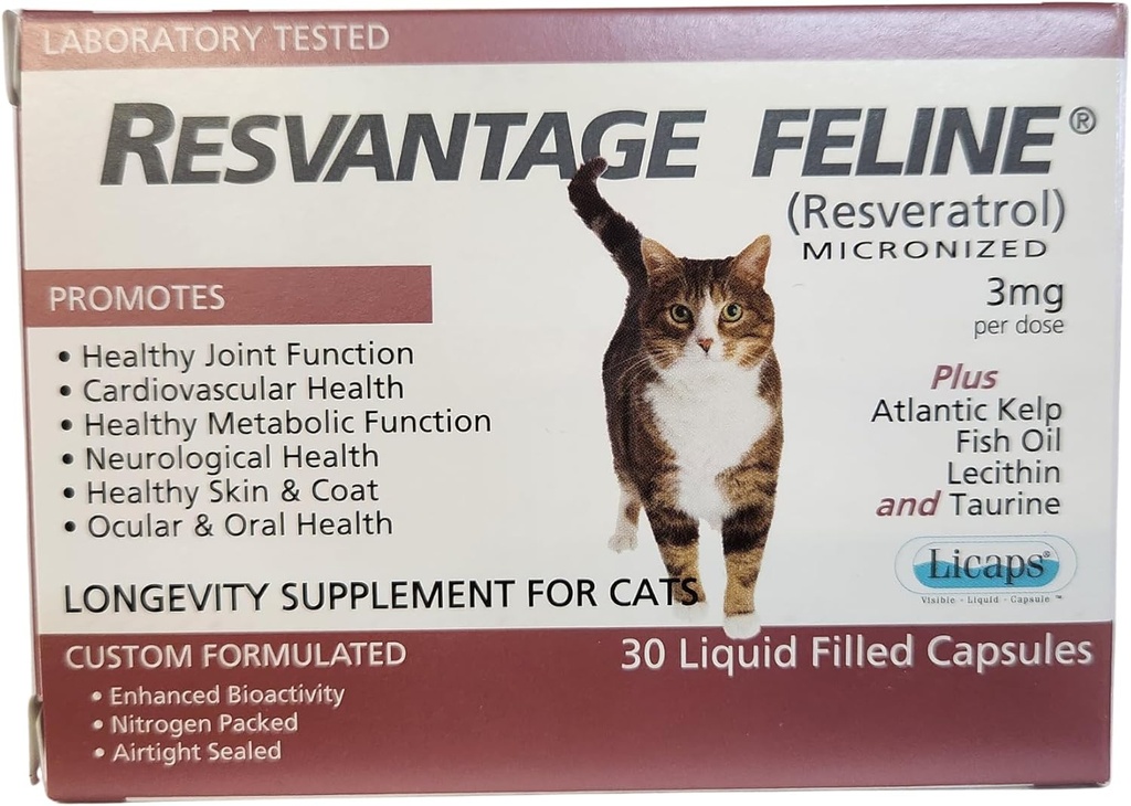 Feline - Resveratrol - Kediler için Longevity Supplement - 30 Capsules