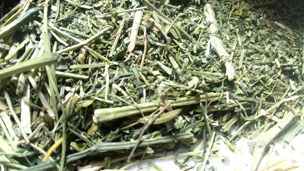 Αρχαία ινδική Ayurvedic Herb Swertia, Chirayata, chirata από τη Σανάα Zesty (4)
