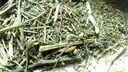 Αρχαία ινδική Ayurvedic Herb Swertia, Chirayata, chirata από τη Σανάα Zesty (4)