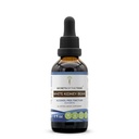 Tribe White Kidney Bean Tincture Alkol Özgür Tür, Yüksek Lisans Herbal Drops, Tincture, Fazolus vulgaris Sağlıklı Cilt, Saç ve Nails 2 ozzz