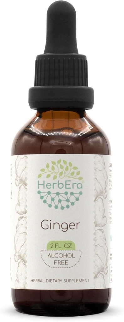 HerbEra Ginger B60 Alkol-Free Herbal Extract Tincture, Super-Concented Ginger (Zingiber officinale) 2 fl ozz
