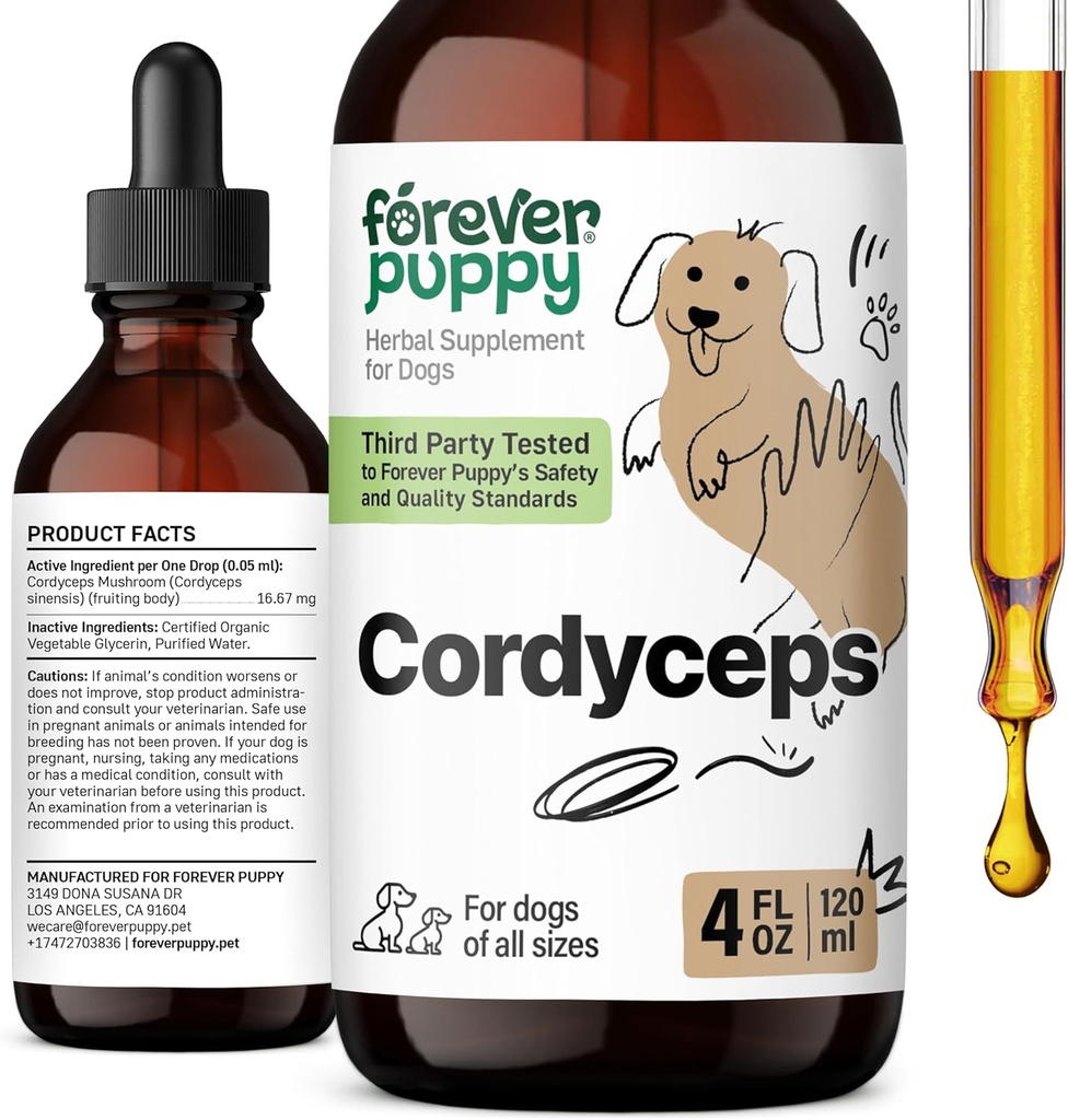 Köpekler için Sonsuz Puppy Cordyceps Mushroom Ekstraksiyon - Sıvı Enerji Desteği Kidney Cleanse için Eklenmeler - Köpeklerin Canine Kidney Sağlık Desteği için Mushroom Drops - 4 ozz