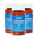 CAW Anti-Aging Supplement | Hipervitamin Cycloastragenol 98 | 5 mg 30enteric-Coated Capsules 3bottles