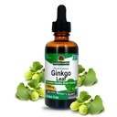 Doğanın Yanıtı Alkol Ücretsiz Ginkgo Biloba Leaf Extract, 2 Ounce, 2 Kont | Sağlıklı Bir Beyin Destek | Zihinsel Fonksiyonları Artırıyor | Zihinsel Clarity | Natural Focus Aid
