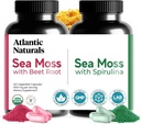Atlantic Naturals Sea Moss Superfood Sche - Sea Moss with Beet Root & Spirulina Capsules - Savunma Desteği, Kan Akışı, Ortak Sağlık ve Demir - 240 Capsules (2 x 120 ct)