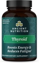 Αρχαία διατροφή Thyroid υποστήριξη συμπλήρωμα με Ashwaghanda, Thyroid κάψουλες, προάγει τον ύπνο και μειωμένη πίεση, χωρίς γλουτένη, Παλαιό και Κέτο φιλικό, 60ct