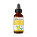 Herbal Goodness Mullein Leaf Extract – Mullein Drop for Lungs Detox, Herbal Waitorant and Antioksis Properties for Respiratory & Digestive Health - Mullein Tincture 1oz