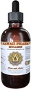 Mullein Liquid Extract, Organic Mullein (Verbascum densiflorum) Tincture, Herbal Supplement, Hawaii Pharm, ABD'de Made in USA, Hawaii Pharm, USA 2 fl.oz