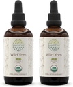 HerbEra Wild Yam B120 (2parça) Alkol Özgür USDA Organik Herbal Extract Tincture, Tempd Liquid Drops Natural Wild Yam (Dioscorea Villosa) kuru Kök (2x4 fl oz)