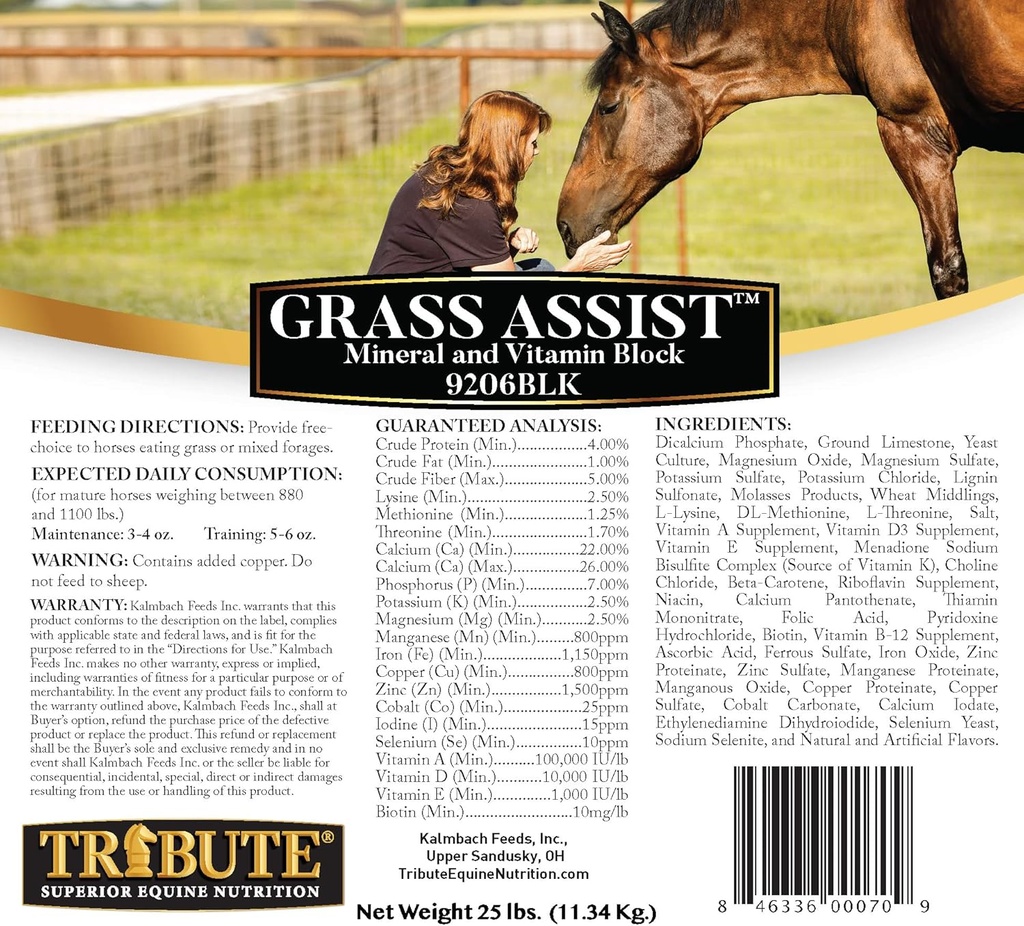 Kalmbach Feeds Grass Assist Mineral ve Vitamin Block for Horse, 25 lb