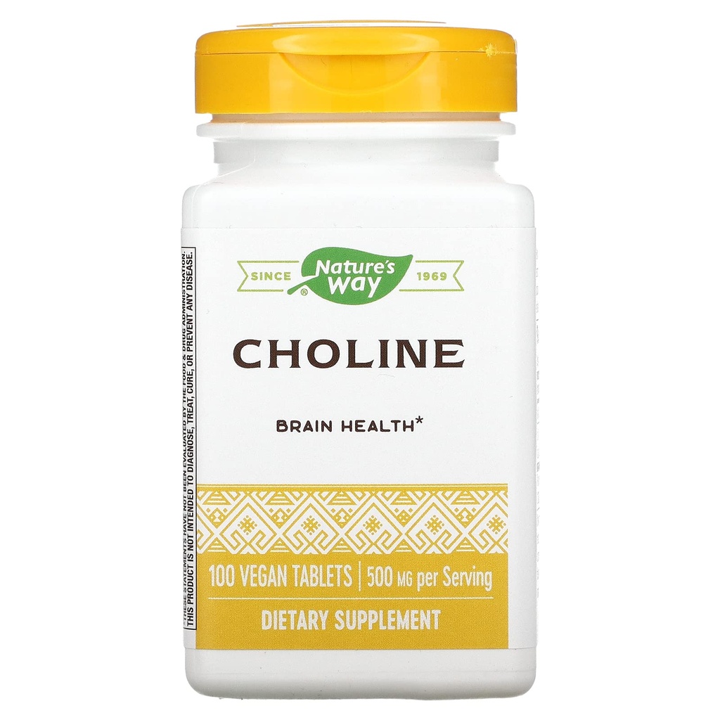 ΦΥΣΗ Χολίνη 500mg 100 δισκία