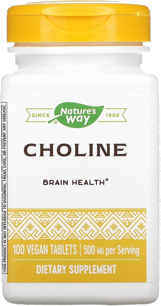 NATURE'S WAY Choline 500 mg 100 Tablet