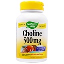 ΦΥΣΗ Χολίνη 500mg 100 δισκία