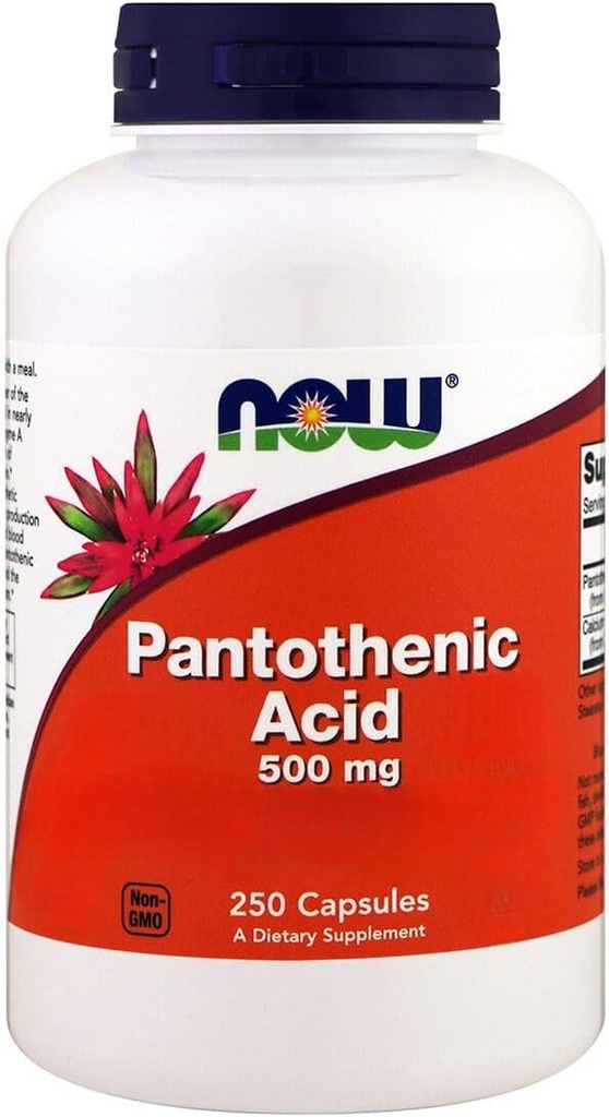 Τώρα τρόφιμα, παντοθενικό οξύ, 500 mg, 250 κάψουλες