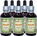 Sesame (Sesamum Indicum) Glycerite, Organic Dried Seeds Alcohol-FREE Liquid Extract (Brand name: HerbalTerra, Proudly made in USA) 5x2 fl.oz (5x60 ml)