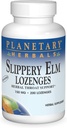 PLANETARY HERBALS Terpery Elm Lozenges, Unflavored, 200 Count