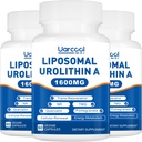 Urolithin A Supplement 1600 mg Kas Kuvveti ve Enerji Üretimi, Sağlıklı Homocysteine Seviyeler ve Nicotinamid riboside NAD+ Longevity için Güçlendirici - 60 Softgels (3 Şişe)