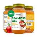 Deniz Moss Gel Raw (12 Flavors) 24oz Vahşi Yasaklı Altın Deniz Moss Gel Saint Lucia | 92 Vitamin ve Minerals | Pure Raw+Non-GMO | Vegan Superfood