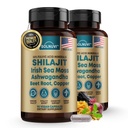 Shilajit Pure Himalayan Organic Capsules with Irish Sea Moss, Ashwagandha, Copper, Beet Root - Fulvic Acid Minerals Supplement for Men & Women - 90, Count-GMO, Gluten-Free
